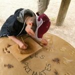 Atelier Pates d'animaux - Classe découverte Zoo