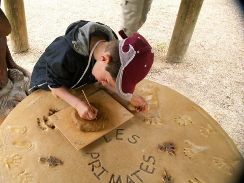 Atelier Pates d'animaux - Classe découverte Zoo