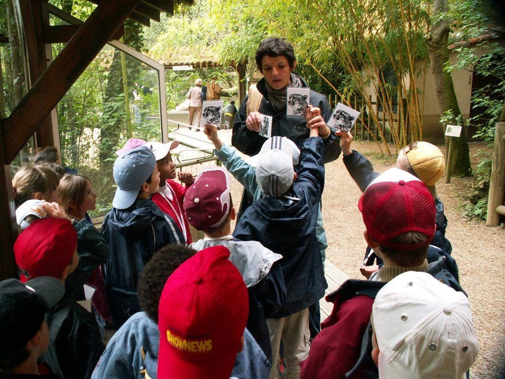 Atelier au zoo - Classe découverte Zoo