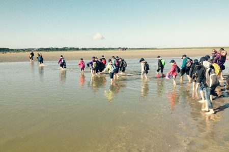 En Baie de Somme - Séjour éducatif Baie de Somme