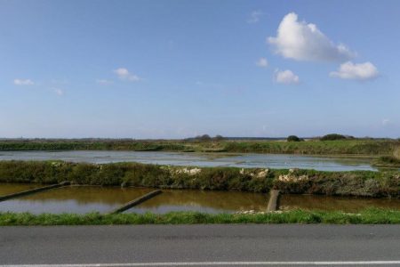 MARAIS SALANTS - vue sur les marais (002)