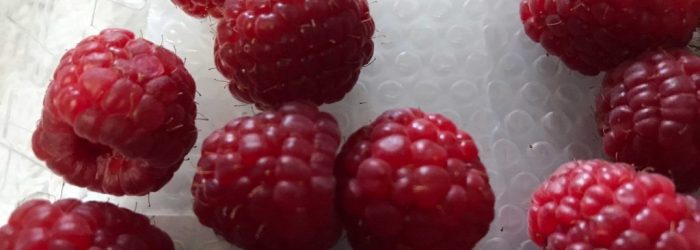 framboises - Séjours groupe Ile de France